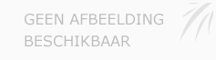 Afbeelding › Hoveniersbedrijf Sander Braat